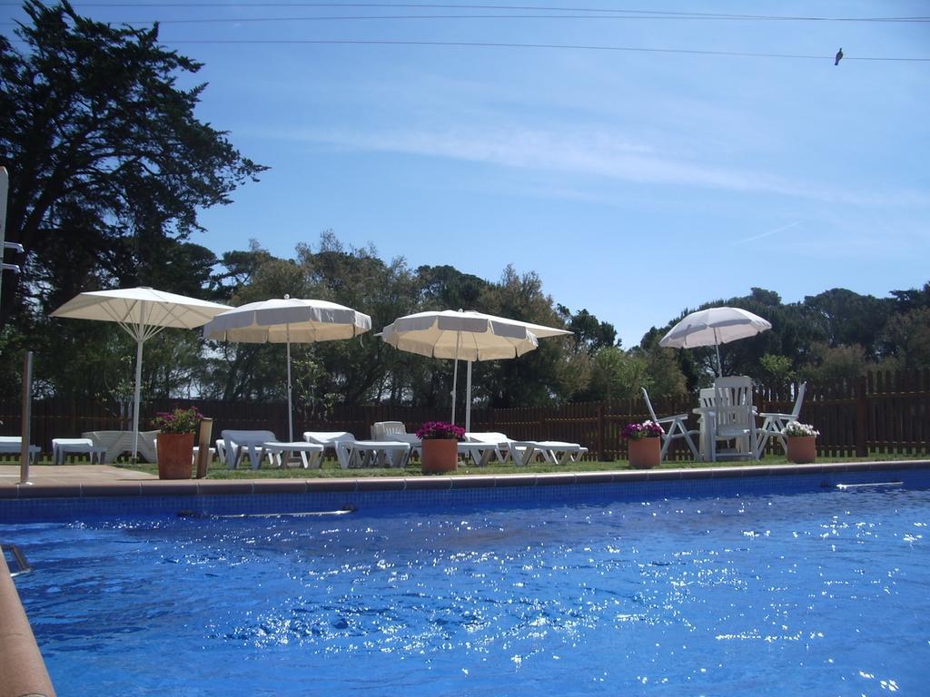 Studios Coll, Terrace & Pool Sant Marti d'Empuries Eksteriør bilde